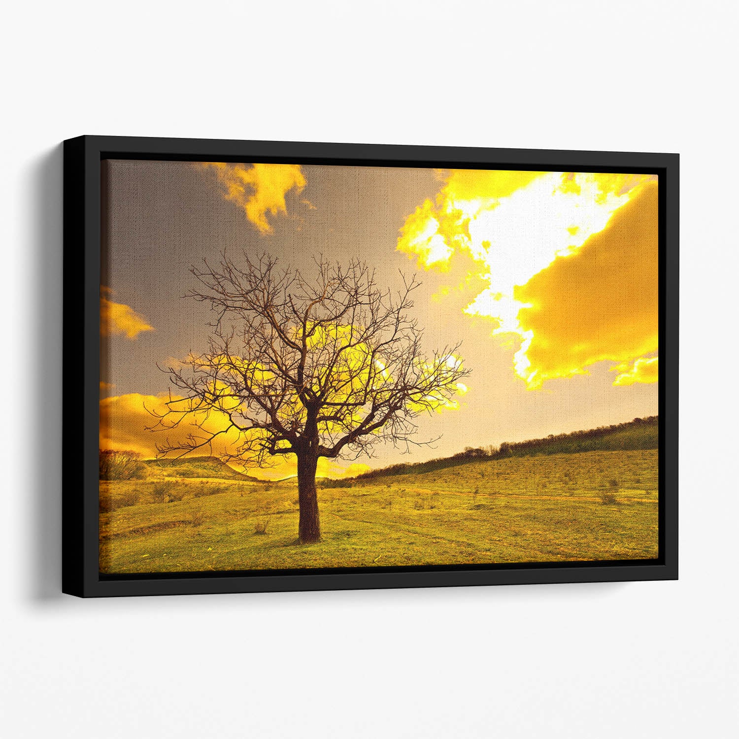 Autumn Floating Framed Canvas