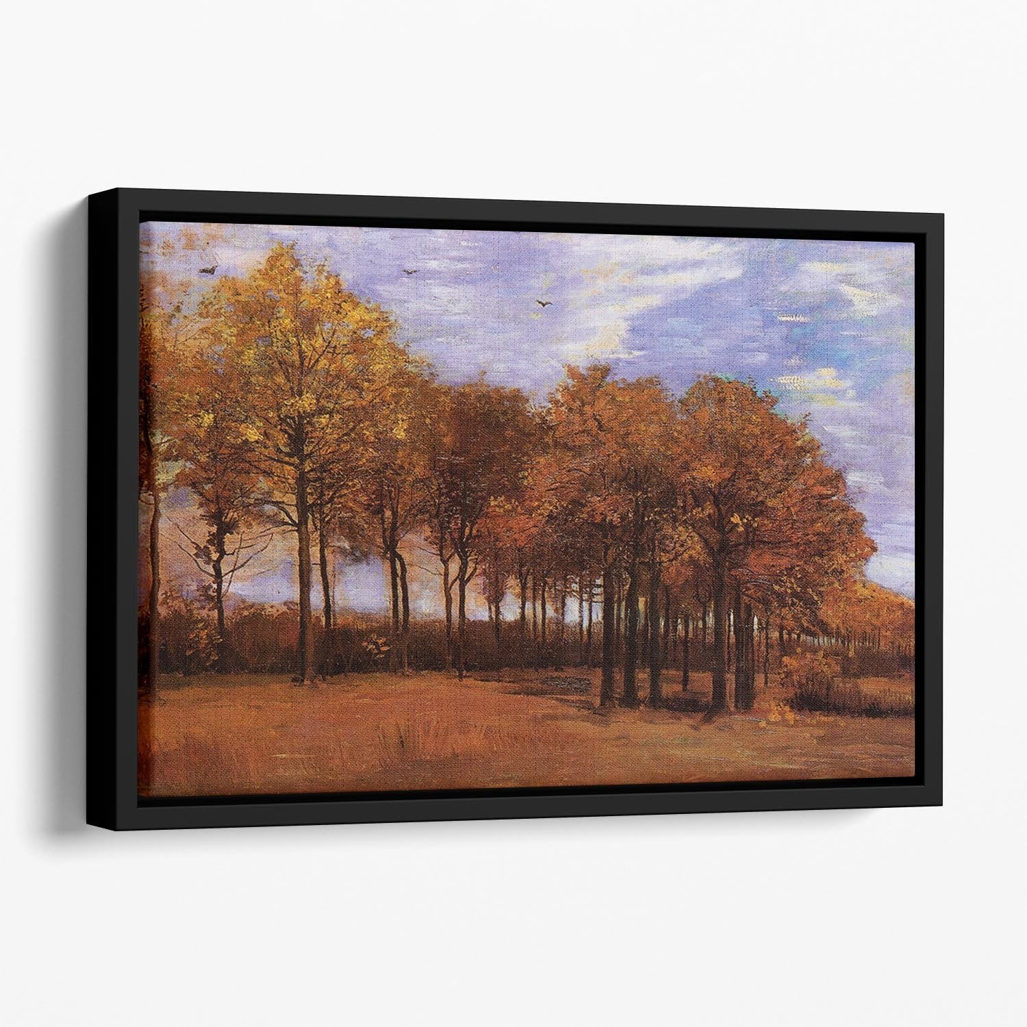 Autumn Landscape by Van Gogh Floating Framed Canvas