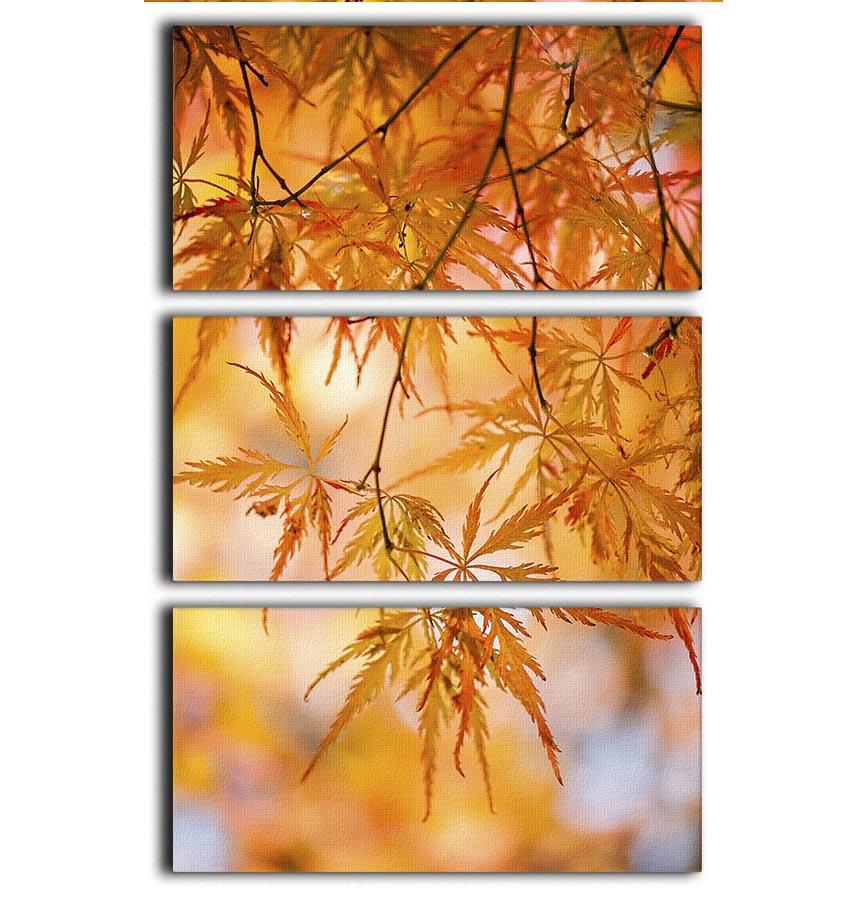 Autumn Leaves 3 Split Panel Canvas Print - Canvas Art Rocks - 1