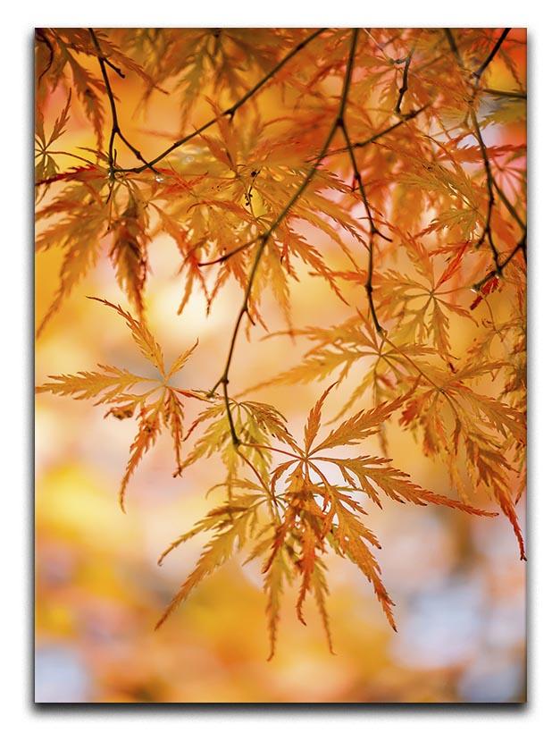 Autumn Leaves Canvas Print or Poster - Canvas Art Rocks - 1