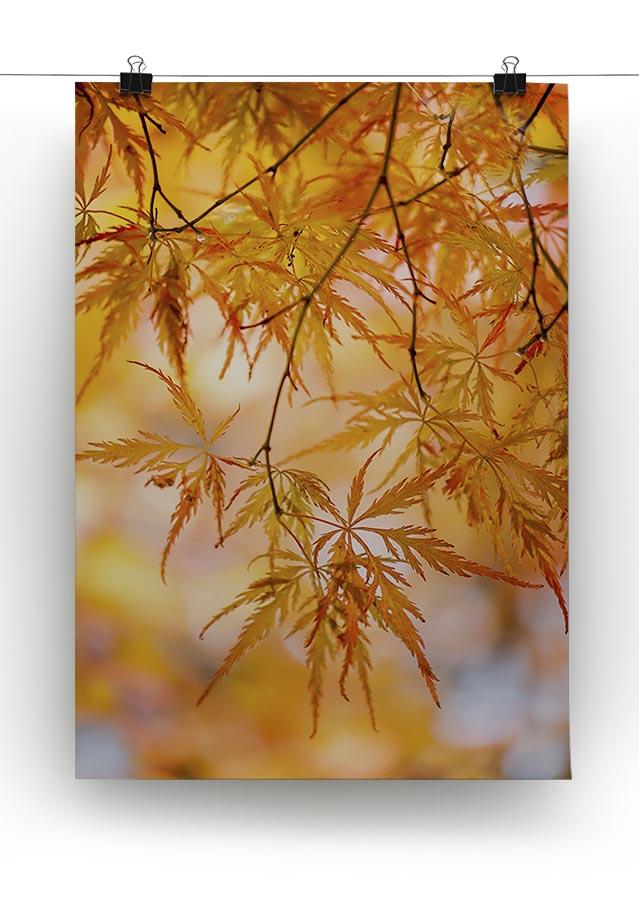 Autumn Leaves Canvas Print or Poster - Canvas Art Rocks - 2