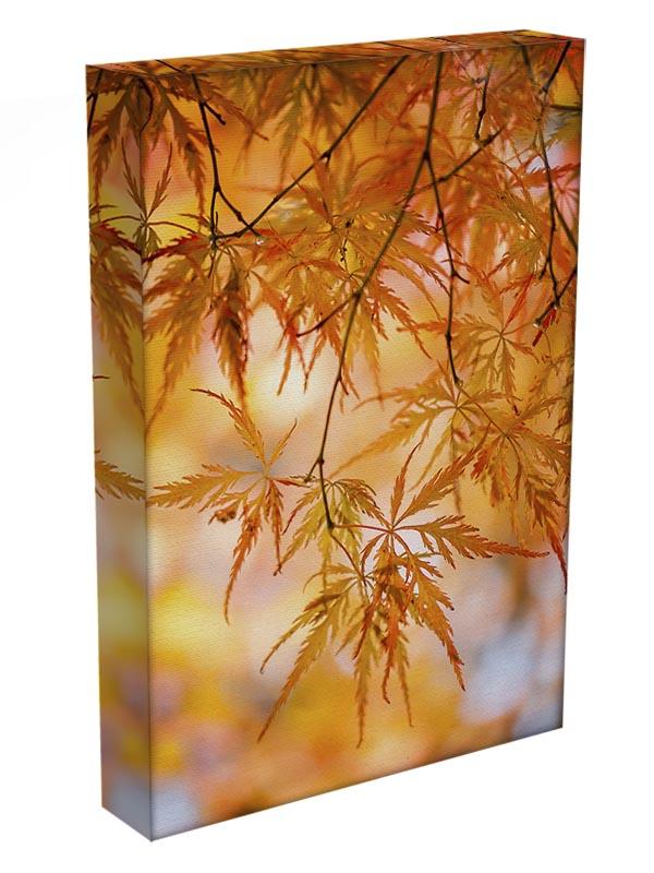 Autumn Leaves Canvas Print or Poster - Canvas Art Rocks - 3