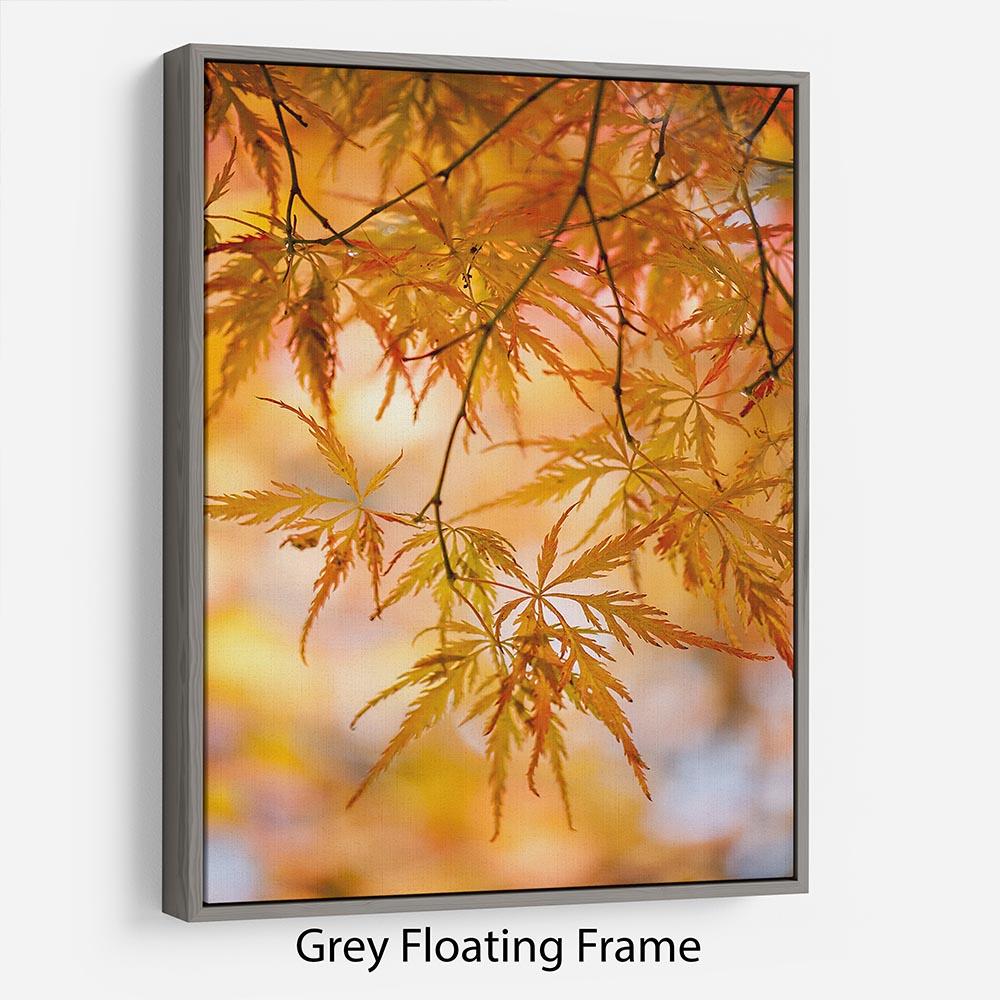 Autumn Leaves Floating Frame Canvas - Canvas Art Rocks - 3