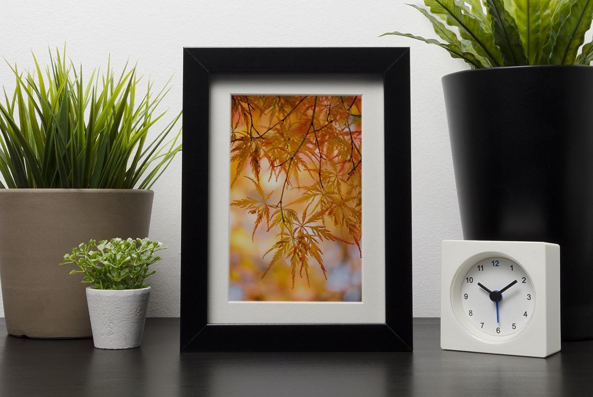 Autumn Leaves Framed Print - Canvas Art Rocks - 1