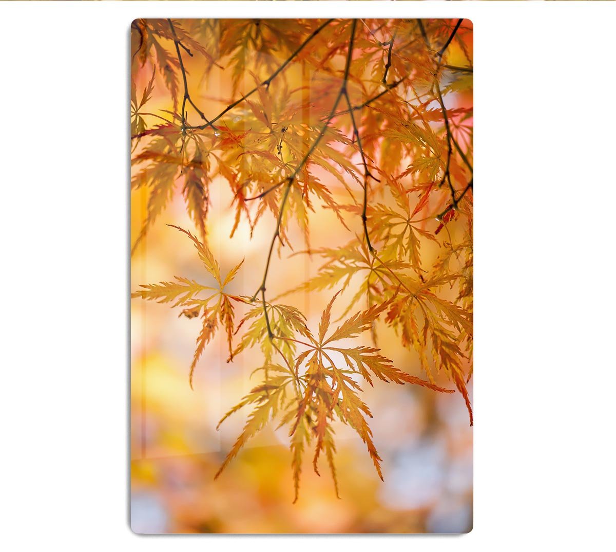 Autumn Leaves HD Metal Print - Canvas Art Rocks - 1