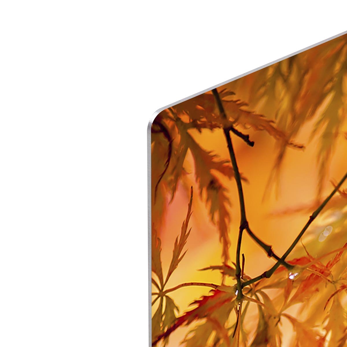 Autumn Leaves HD Metal Print - Canvas Art Rocks - 4