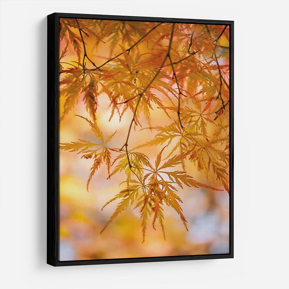 Autumn Leaves HD Metal Print - Canvas Art Rocks - 6