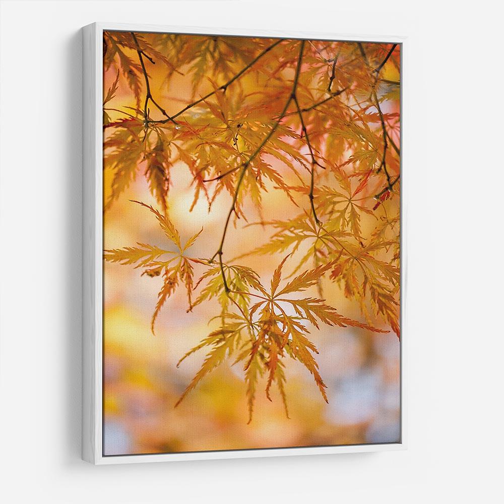 Autumn Leaves HD Metal Print - Canvas Art Rocks - 7
