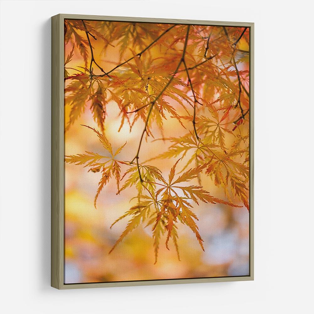Autumn Leaves HD Metal Print - Canvas Art Rocks - 8