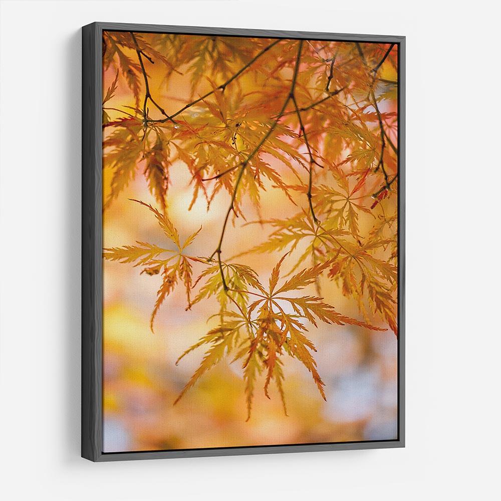 Autumn Leaves HD Metal Print - Canvas Art Rocks - 9