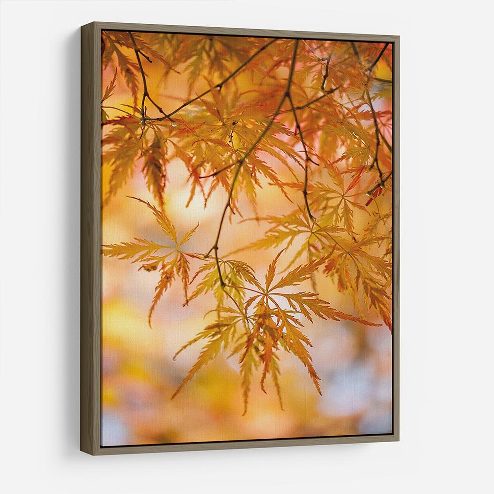 Autumn Leaves HD Metal Print - Canvas Art Rocks - 10