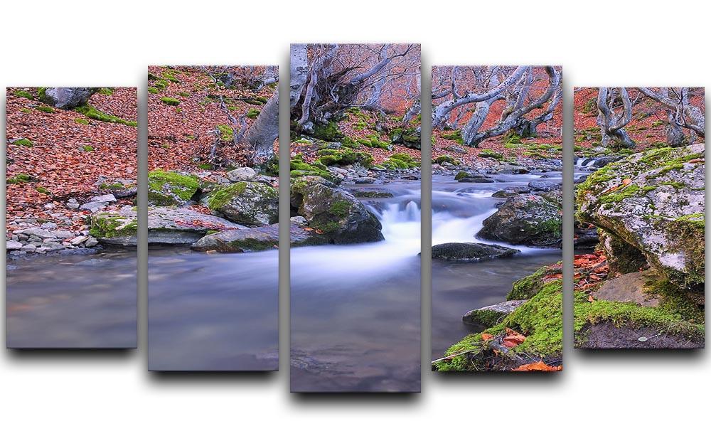 Autumn landscape lake 5 Split Panel Canvas  - Canvas Art Rocks - 1