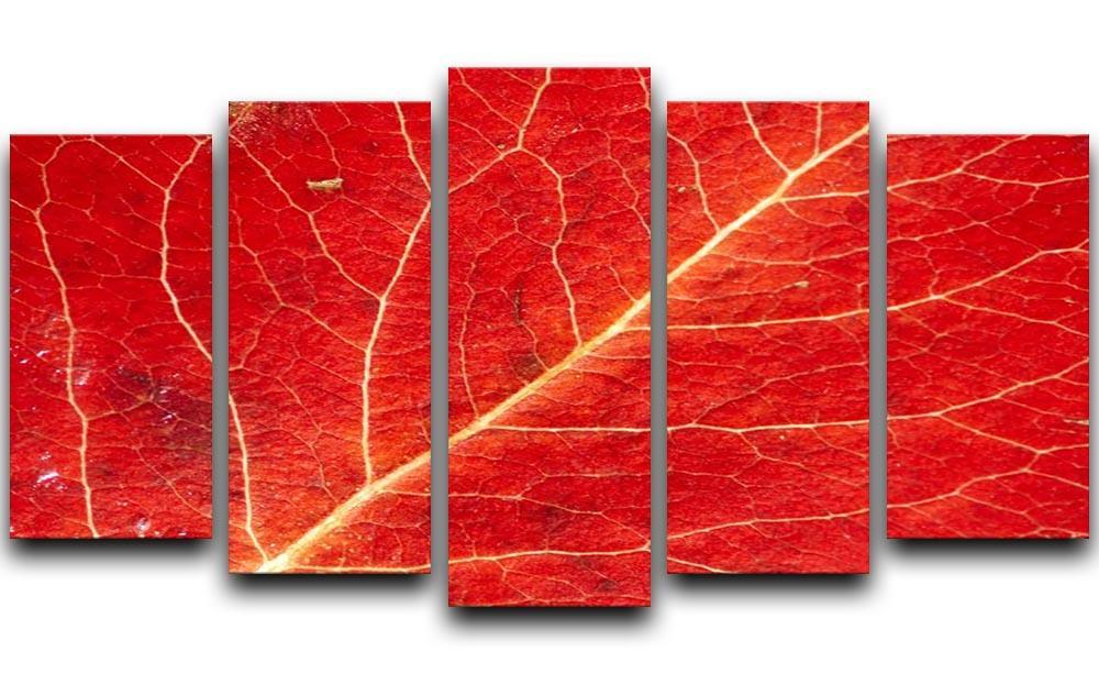 Autumn leaf 5 Split Panel Canvas  - Canvas Art Rocks - 1