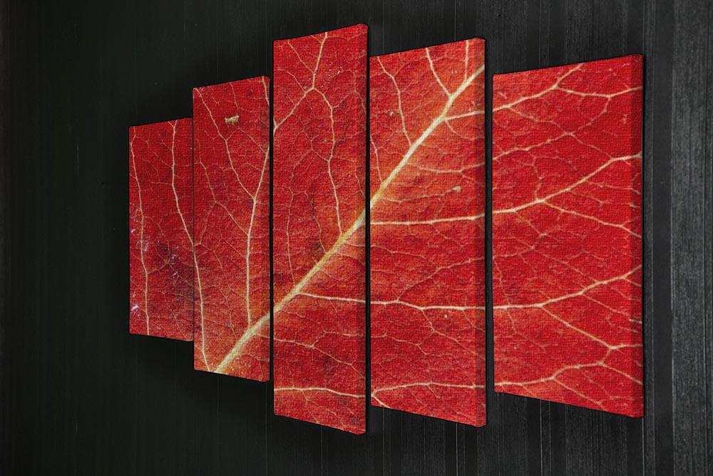 Autumn leaf 5 Split Panel Canvas  - Canvas Art Rocks - 2