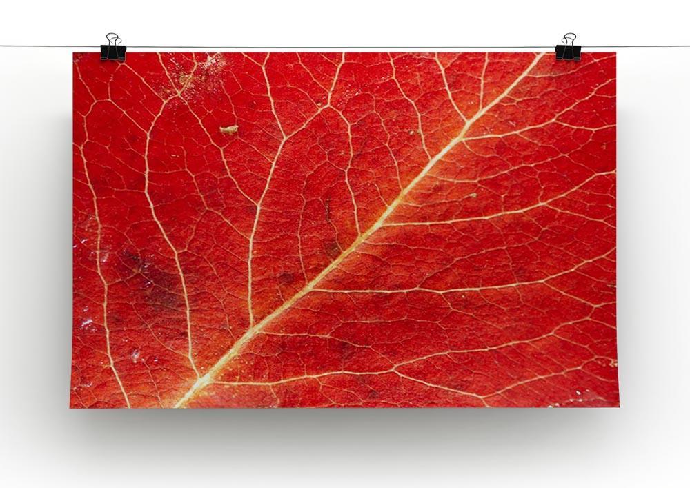 Autumn leaf Canvas Print or Poster - Canvas Art Rocks - 2