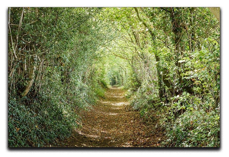 Avenue of trees Canvas Print or Poster  - Canvas Art Rocks - 1