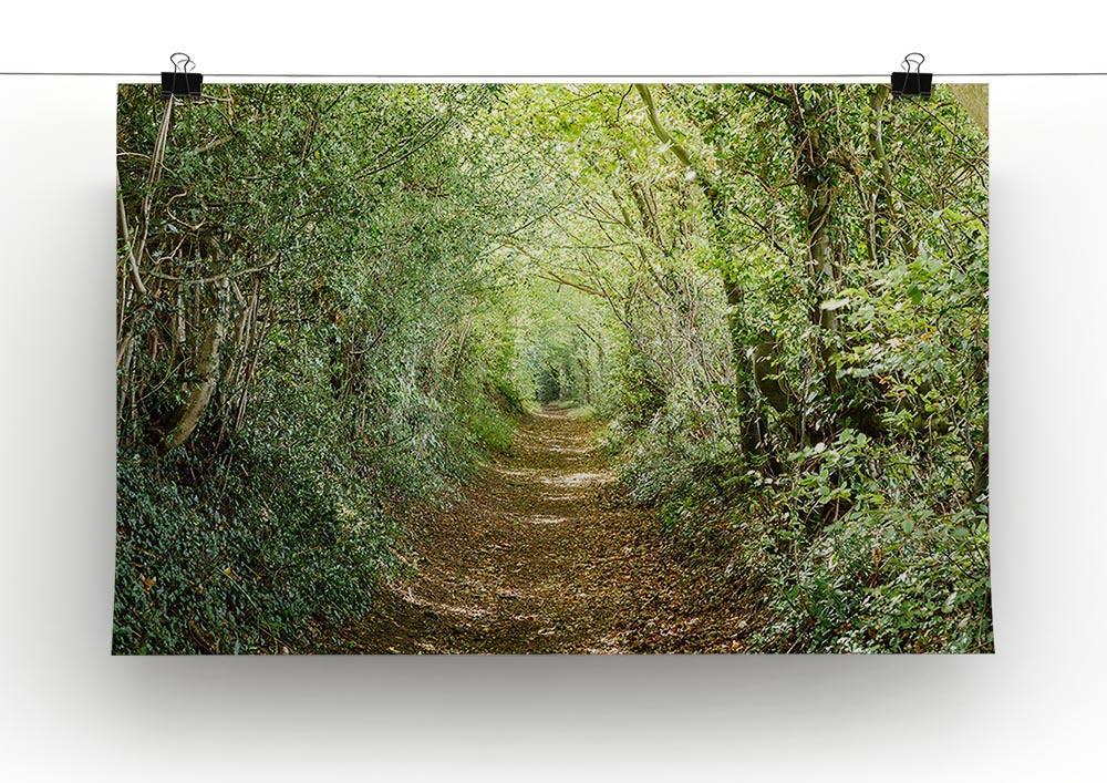 Avenue of trees Canvas Print or Poster - Canvas Art Rocks - 2