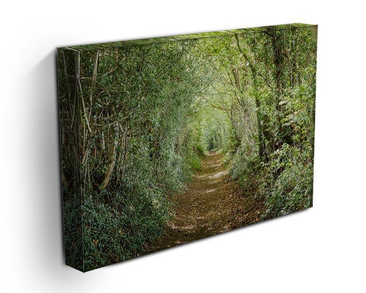 Avenue of trees Canvas Print or Poster - Canvas Art Rocks - 3