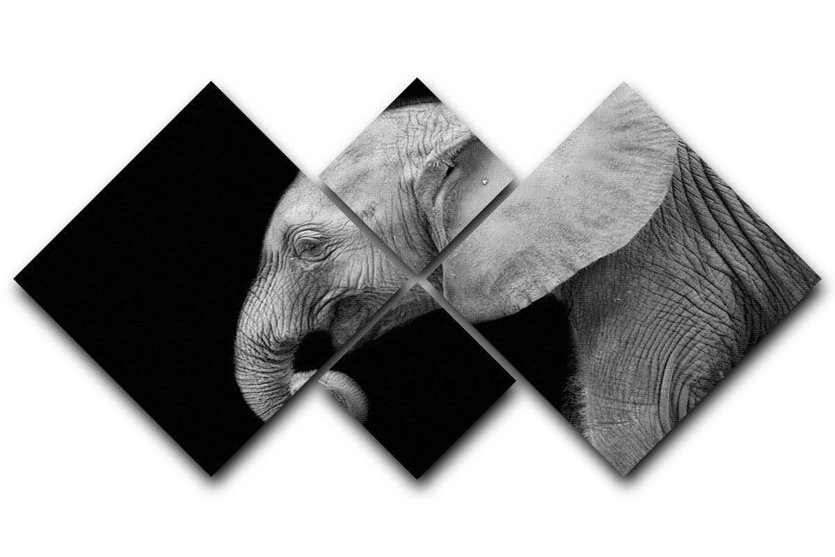 Baby elephant 4 Square Multi Panel Canvas - Canvas Art Rocks - 1