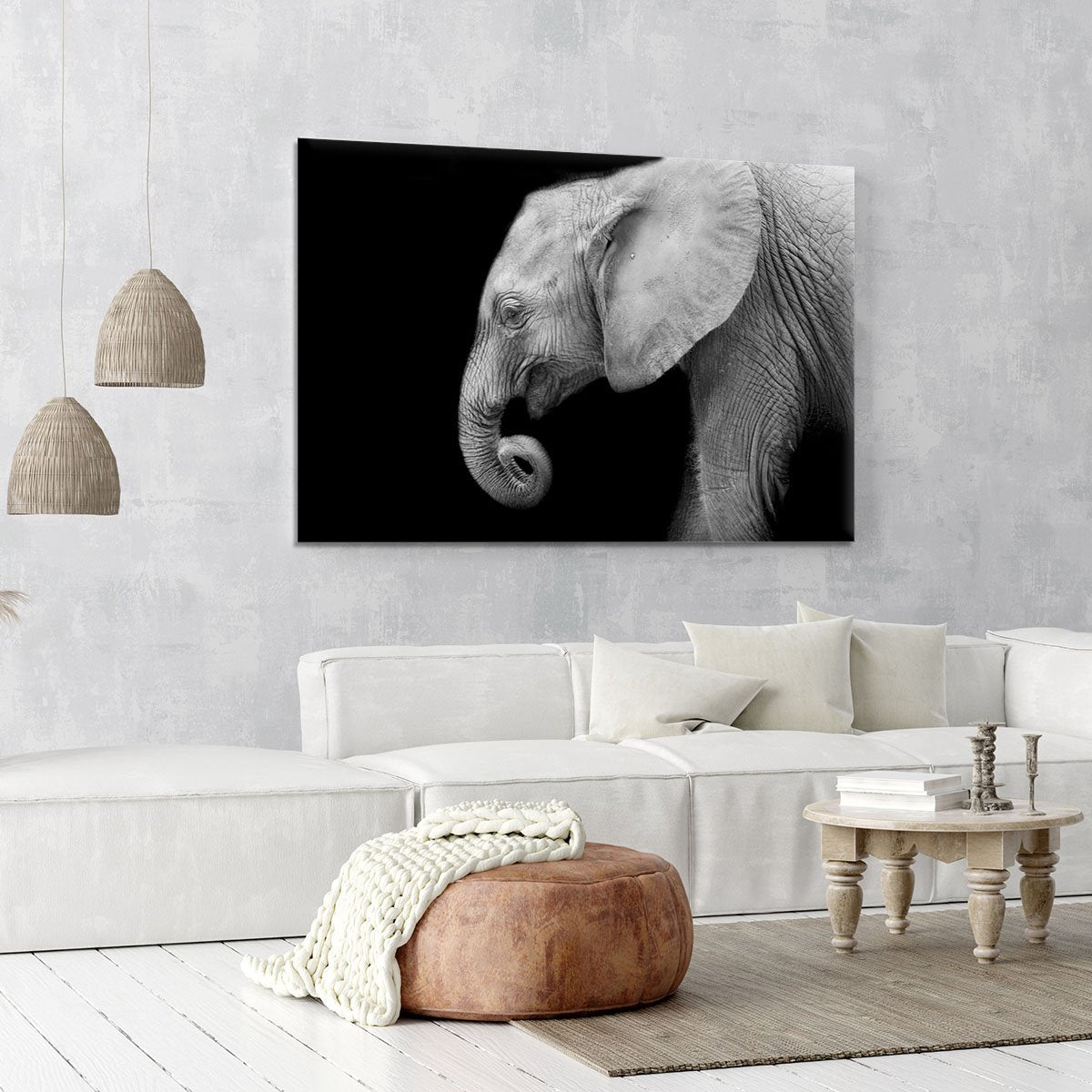 Baby elephant Canvas Print or Poster