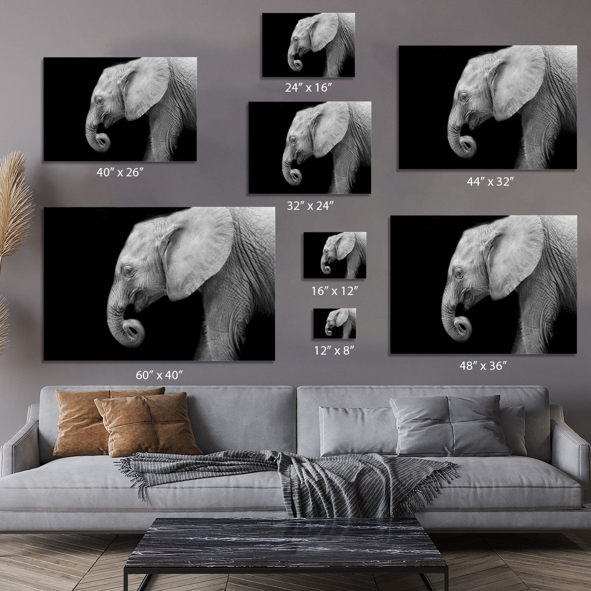 Baby elephant Canvas Print or Poster