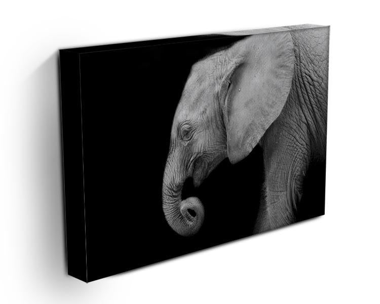 Baby elephant Canvas Print or Poster - Canvas Art Rocks - 3