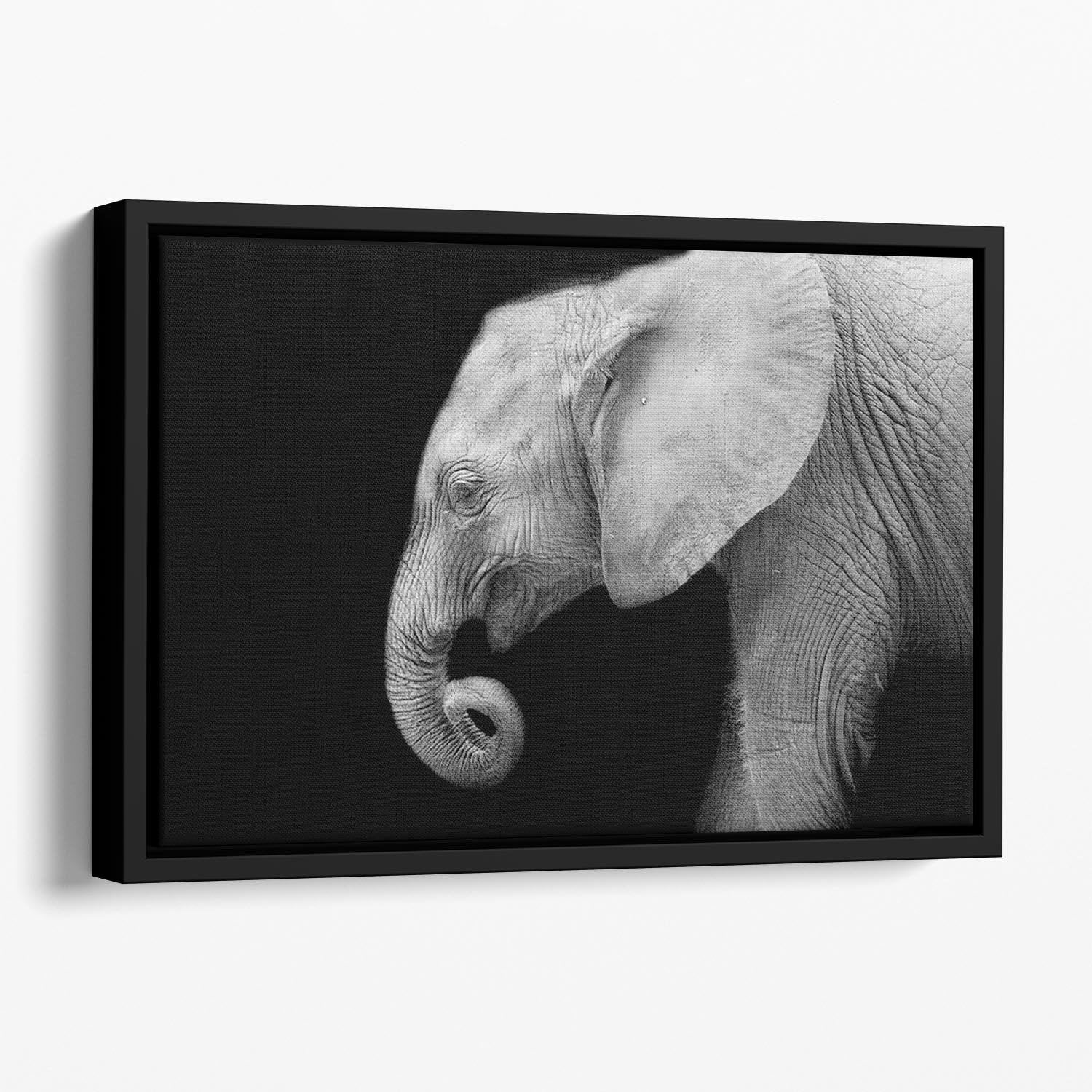 Baby elephant Floating Framed Canvas - Canvas Art Rocks - 1