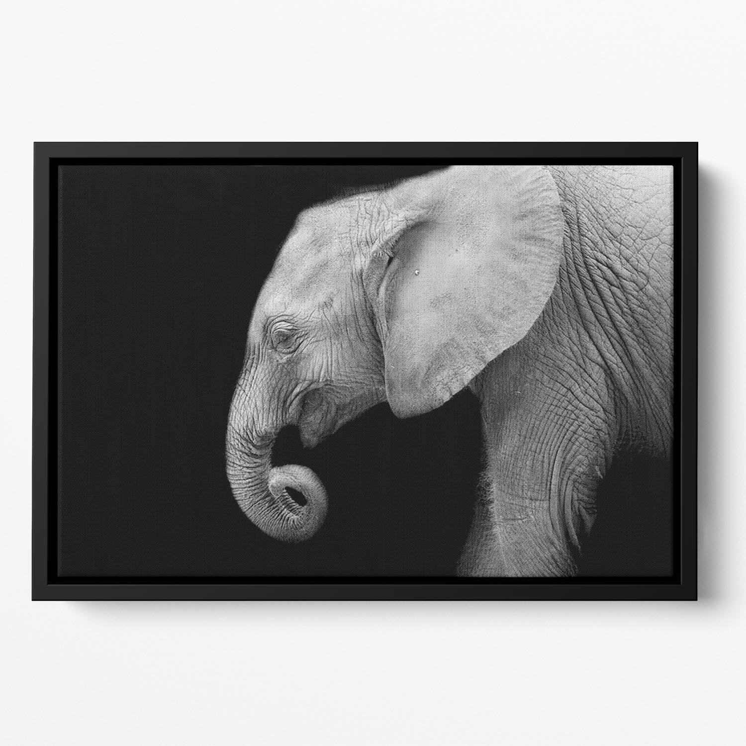 Baby elephant Floating Framed Canvas - Canvas Art Rocks - 2