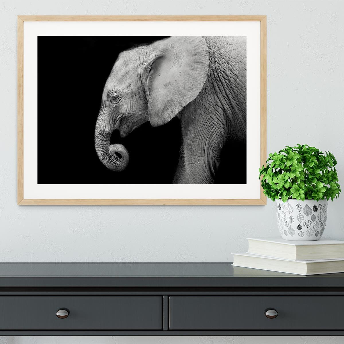 Baby elephant Framed Print - Canvas Art Rocks - 3