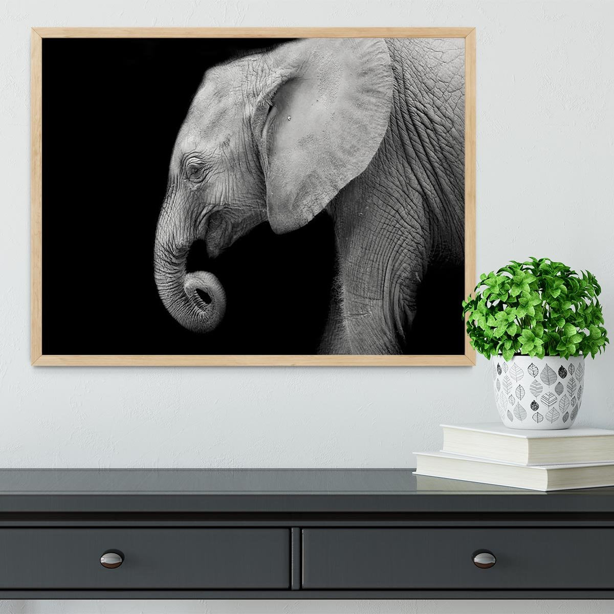 Baby elephant Framed Print - Canvas Art Rocks - 4