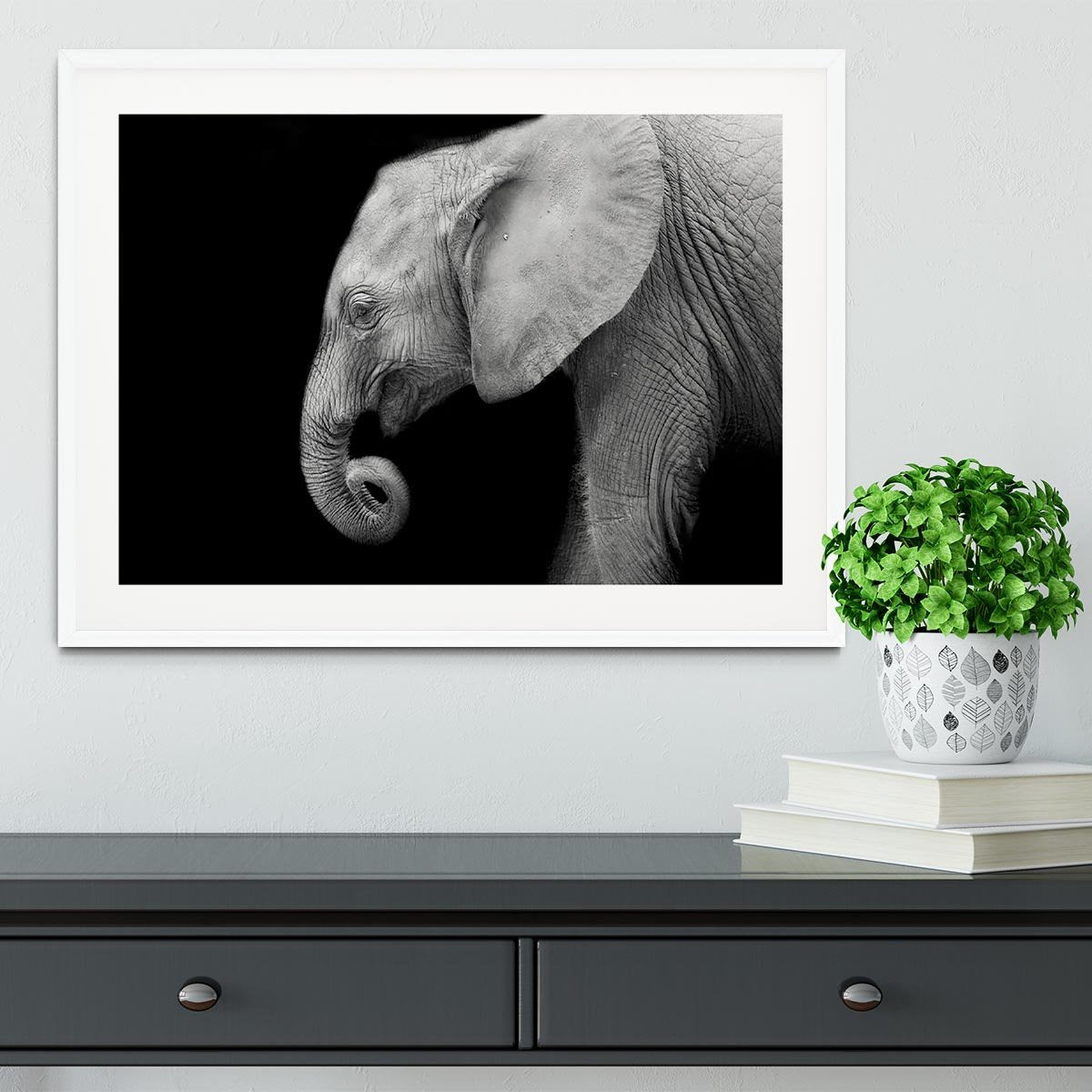 Baby elephant Framed Print - Canvas Art Rocks - 5