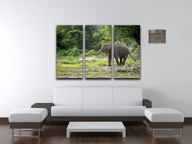 Baby elephant enjoy in open zoo 3 Split Panel Canvas Print - Canvas Art Rocks - 3