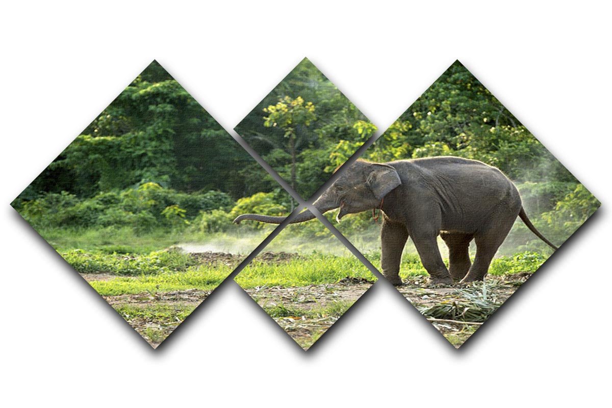 Baby elephant enjoy in open zoo 4 Square Multi Panel Canvas - Canvas Art Rocks - 1