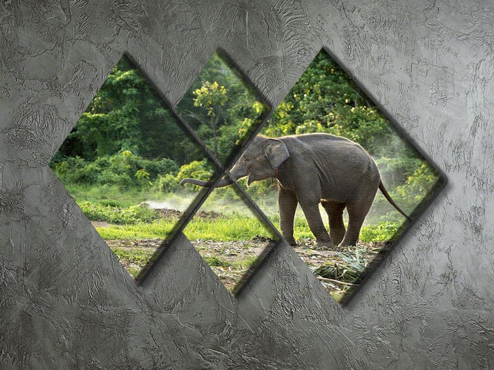 Baby elephant enjoy in open zoo 4 Square Multi Panel Canvas - Canvas Art Rocks - 2