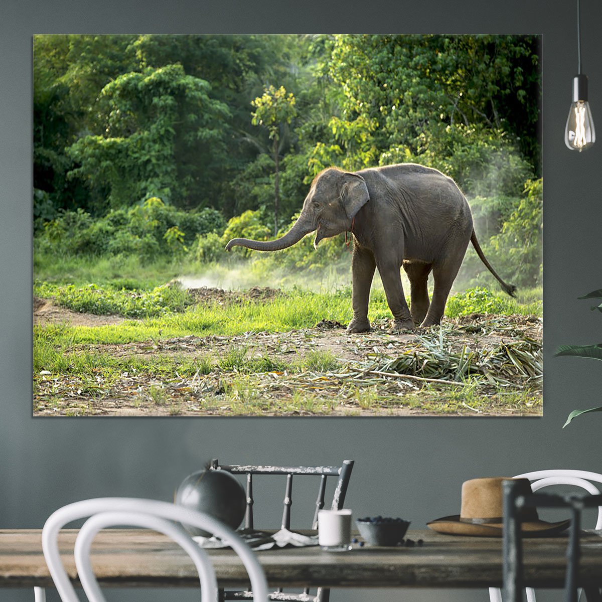 Baby elephant enjoy in open zoo Canvas Print or Poster