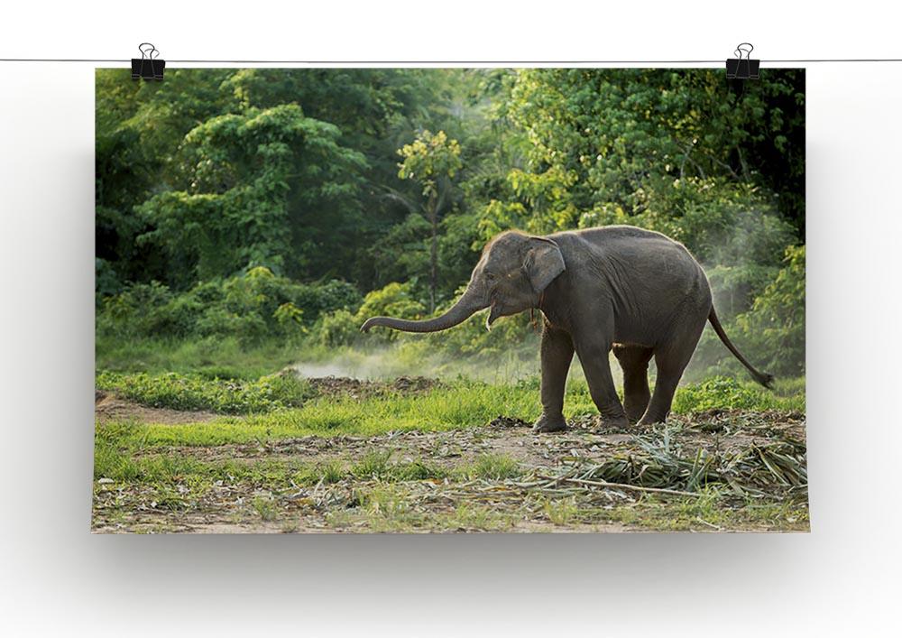 Baby elephant enjoy in open zoo Canvas Print or Poster - Canvas Art Rocks - 2