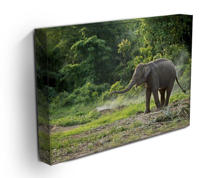 Baby elephant enjoy in open zoo Canvas Print or Poster - Canvas Art Rocks - 3