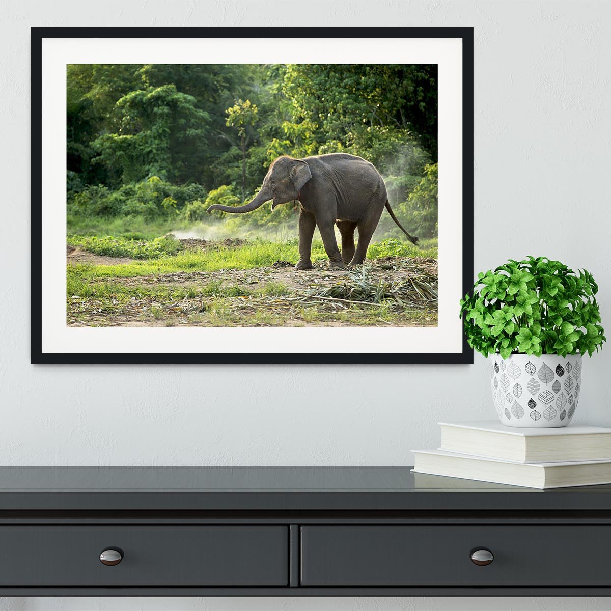 Baby elephant enjoy in open zoo Framed Print - Canvas Art Rocks - 1