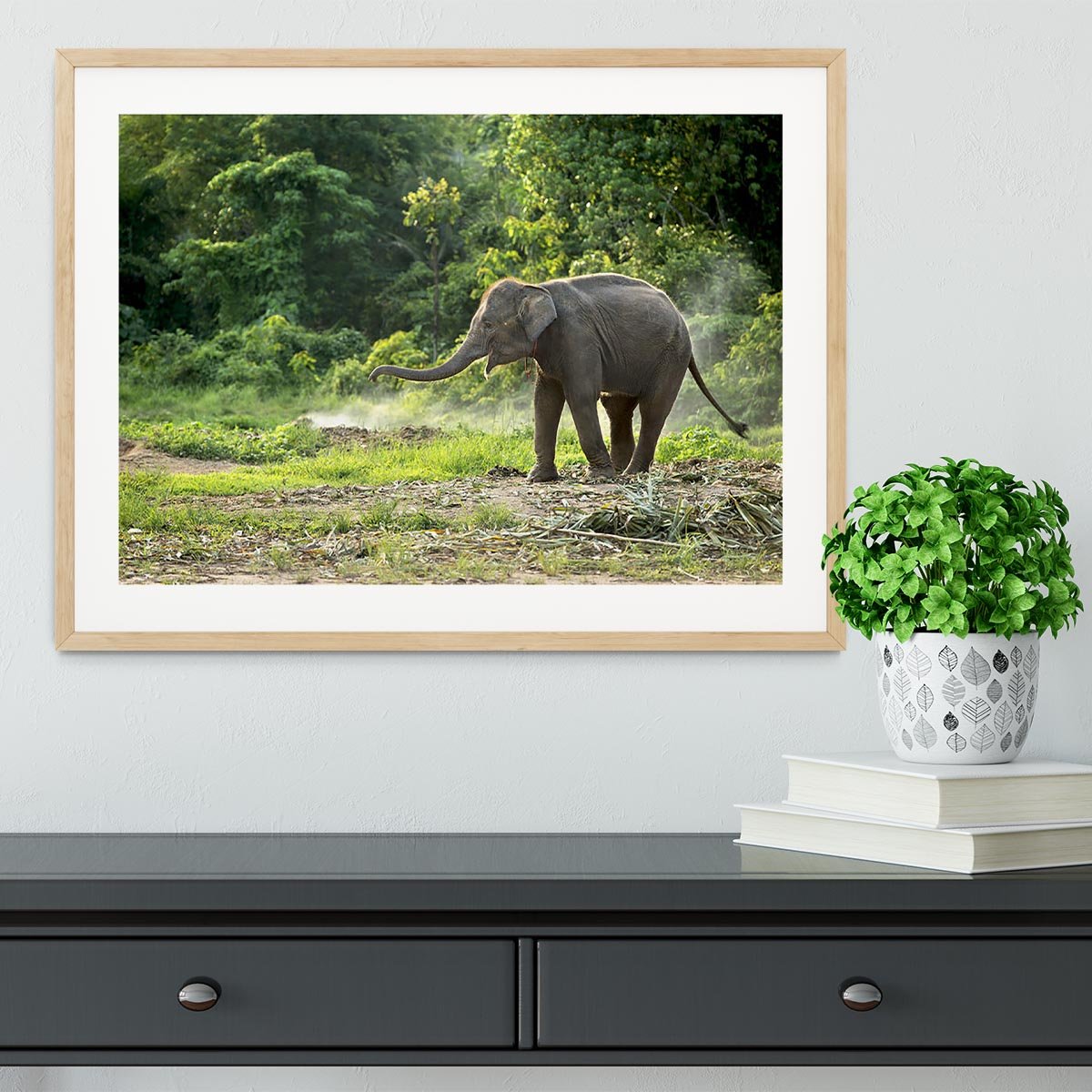 Baby elephant enjoy in open zoo Framed Print - Canvas Art Rocks - 3