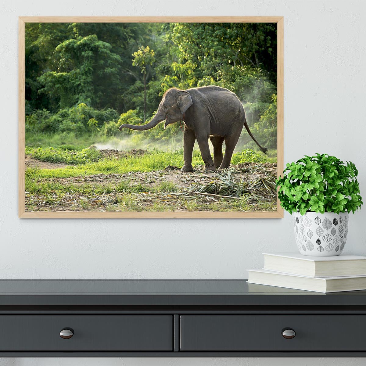 Baby elephant enjoy in open zoo Framed Print - Canvas Art Rocks - 4