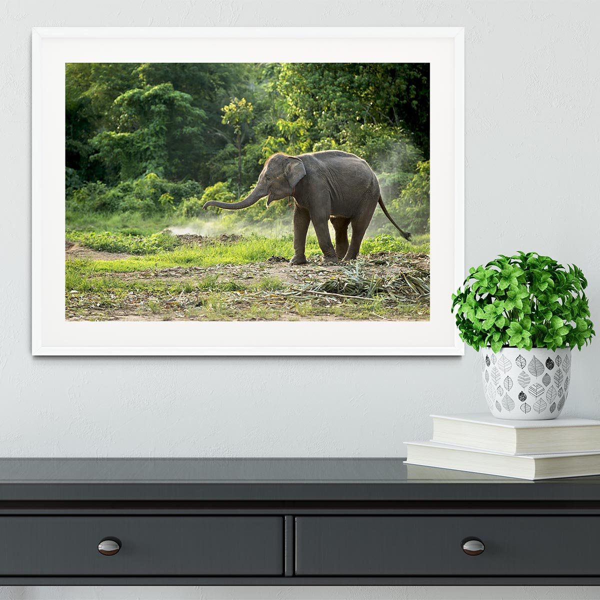 Baby elephant enjoy in open zoo Framed Print - Canvas Art Rocks - 5