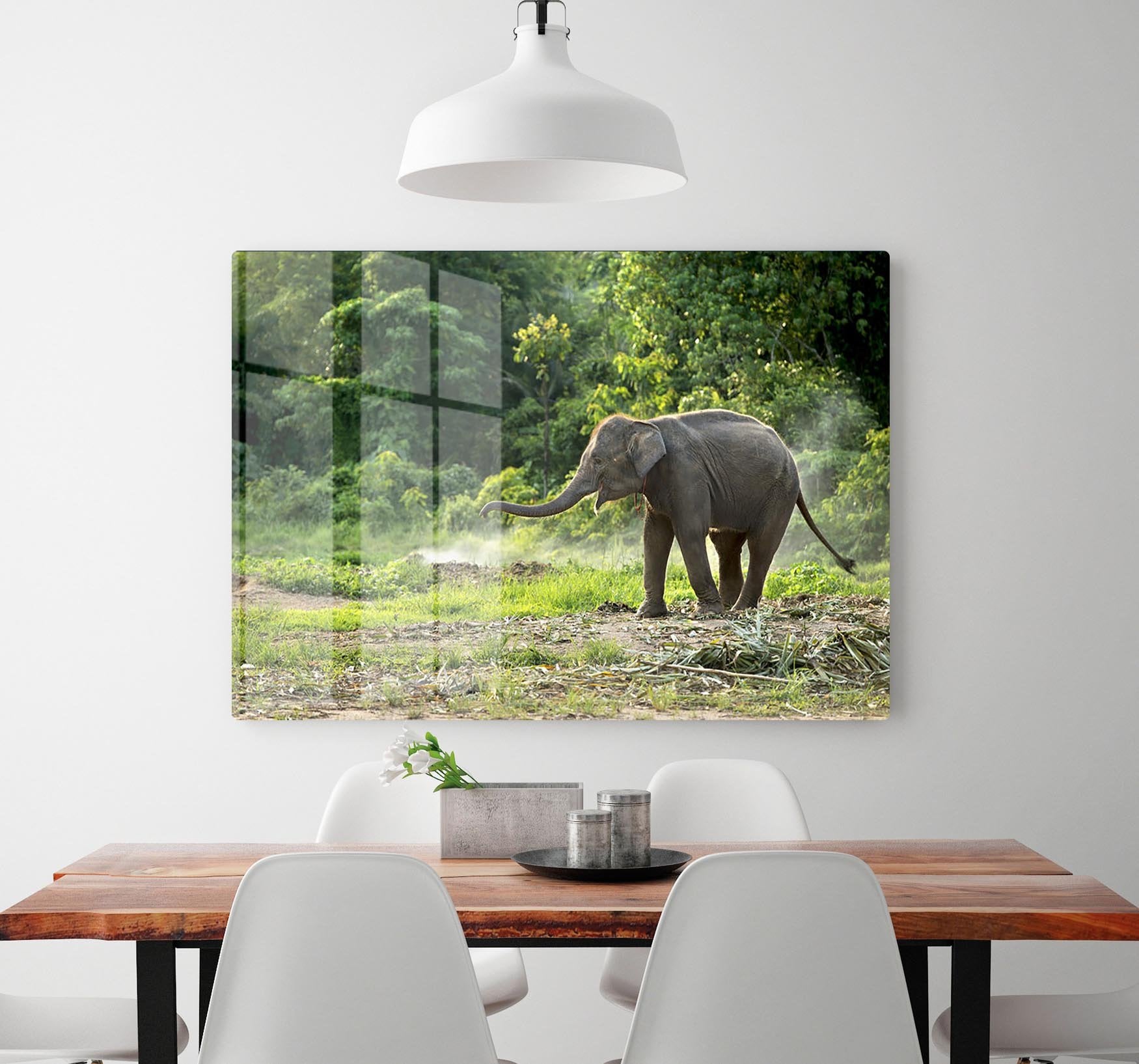 Baby elephant enjoy in open zoo HD Metal Print - Canvas Art Rocks - 2