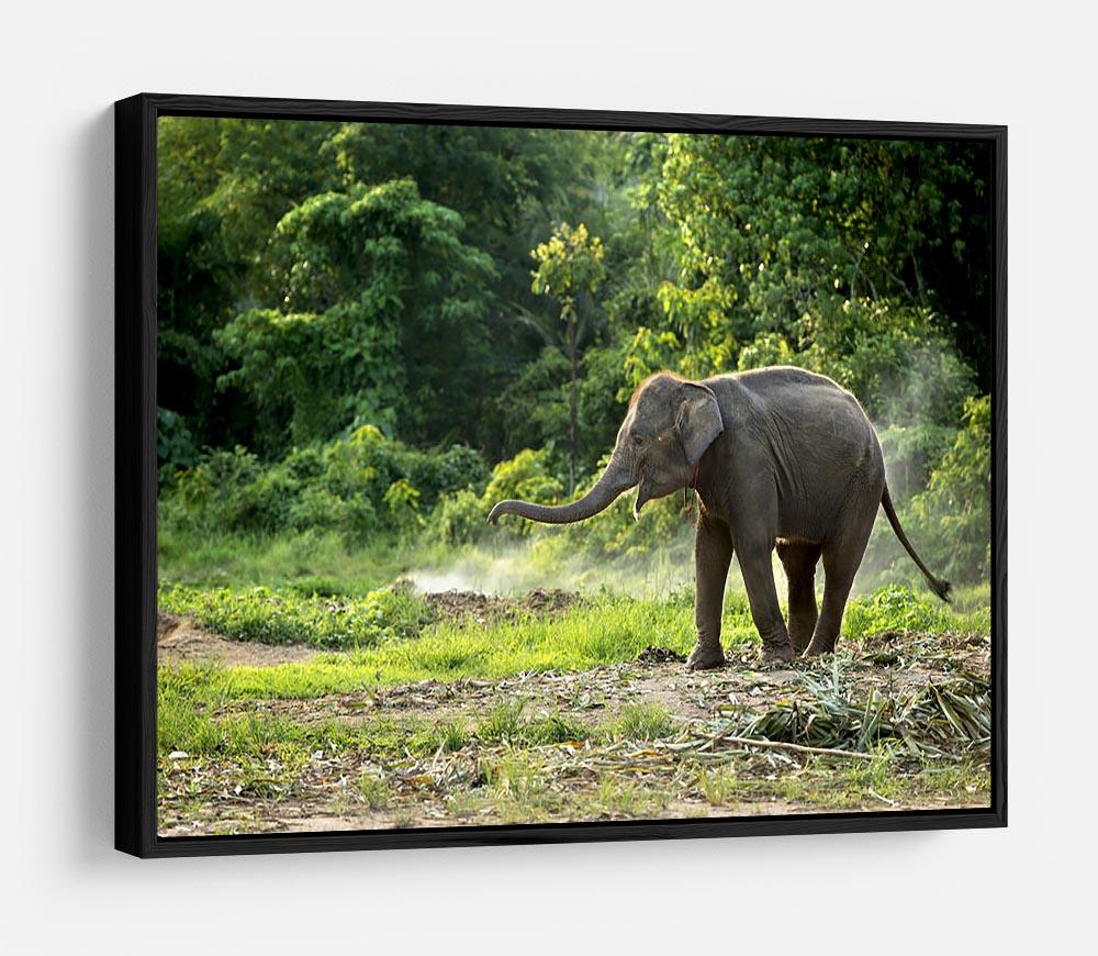 Baby elephant enjoy in open zoo HD Metal Print - Canvas Art Rocks - 6