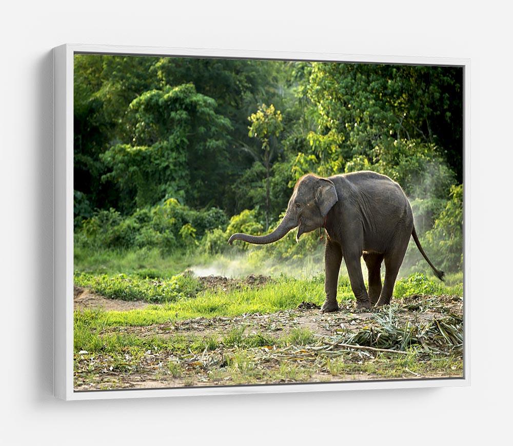 Baby elephant enjoy in open zoo HD Metal Print - Canvas Art Rocks - 7