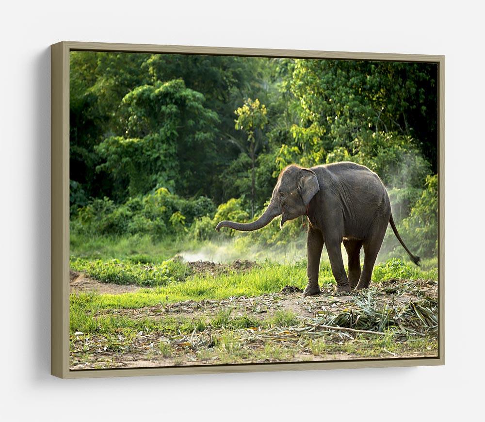 Baby elephant enjoy in open zoo HD Metal Print - Canvas Art Rocks - 8