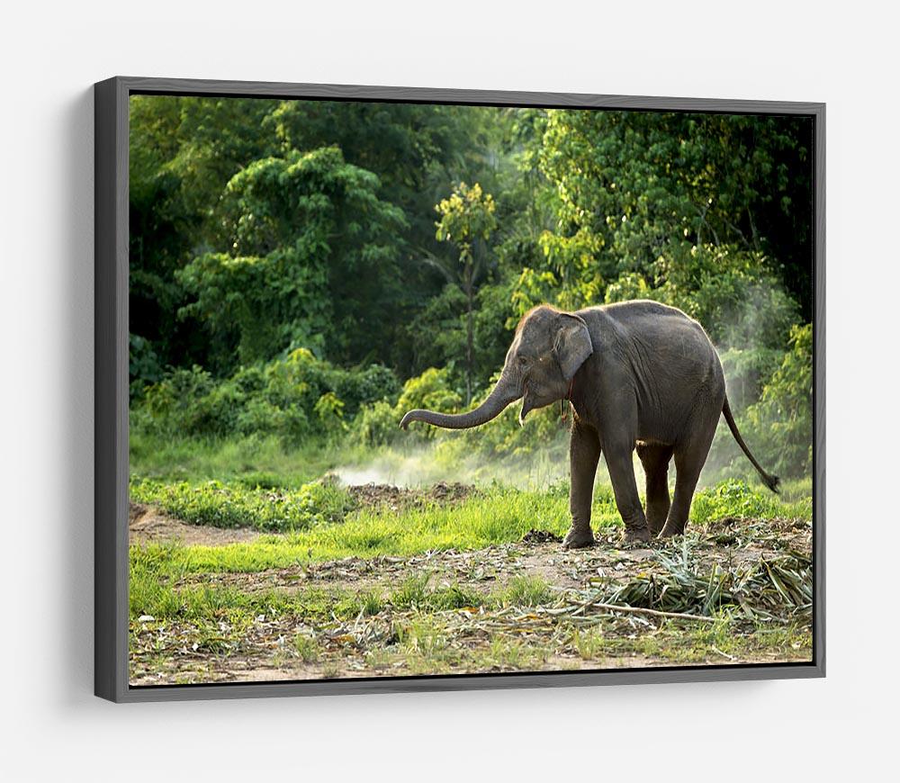 Baby elephant enjoy in open zoo HD Metal Print - Canvas Art Rocks - 9