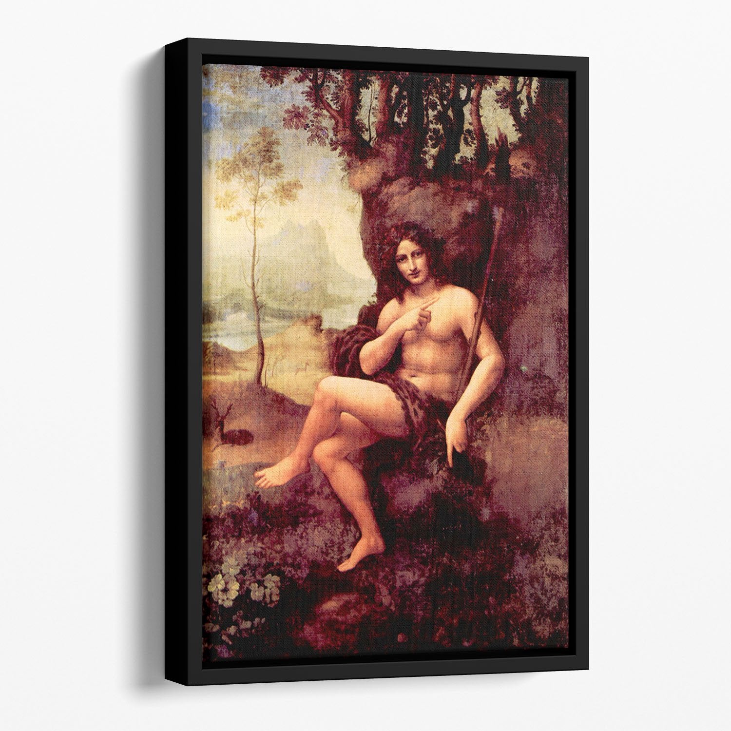 Bacchus by Da Vinci Floating Framed Canvas