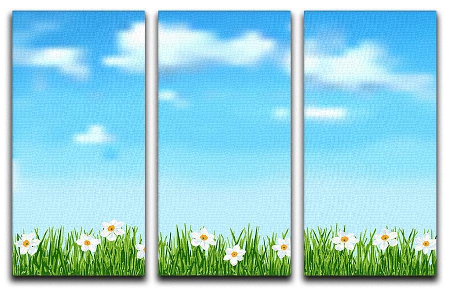 Background with grass and white flowers 3 Split Panel Canvas Print - Canvas Art Rocks - 1