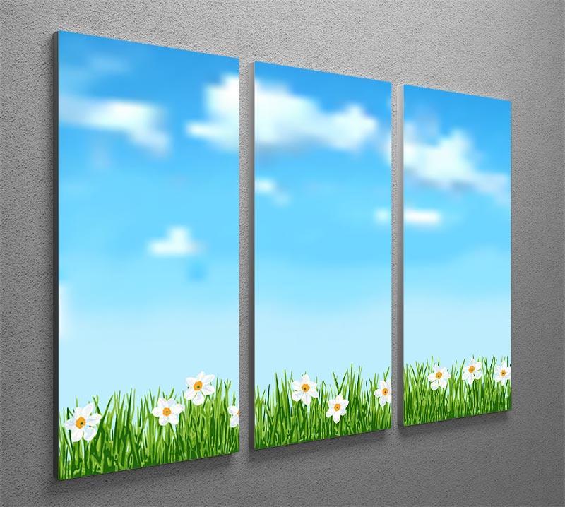Background with grass and white flowers 3 Split Panel Canvas Print - Canvas Art Rocks - 2