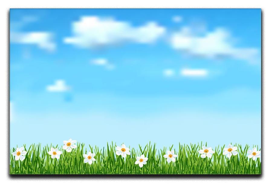 Background with grass and white flowers Canvas Print or Poster  - Canvas Art Rocks - 1